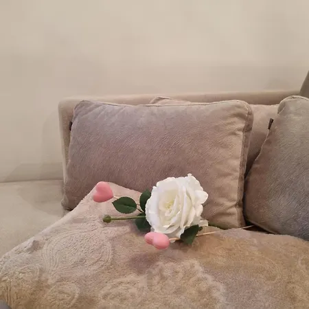 Apartment Cikma *